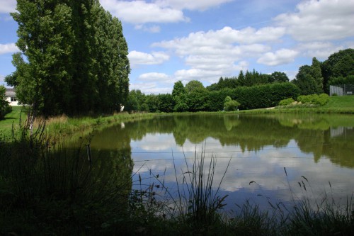 Pêche au plan d'eau communal